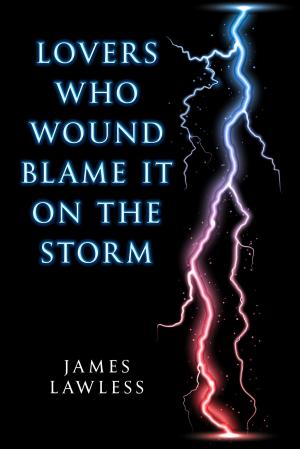 bigCover of the book Lovers Who Wound Blame it on the Storm by 