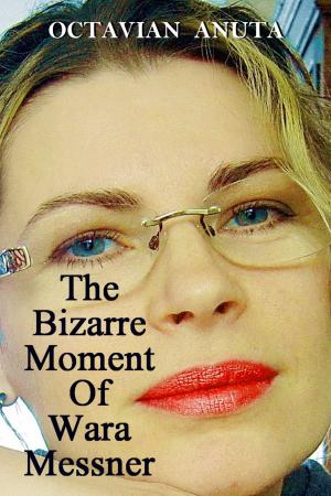 Cover of the book The Bizarre Moment Of Wara Messner by K. R. Rowe