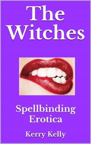 Book cover of The Witches Spellbinding Erotica