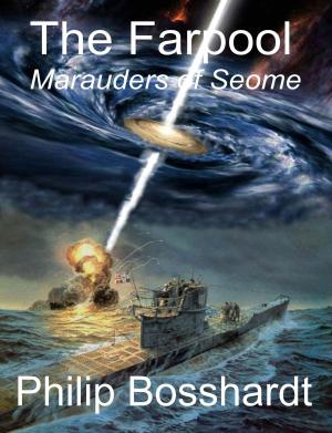 Cover of the book The Farpool: Marauders of Seome by Melissa Lummis