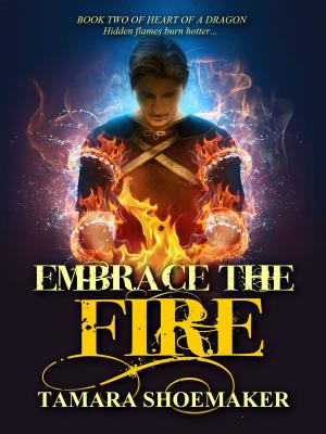 Book cover of Embrace the Fire