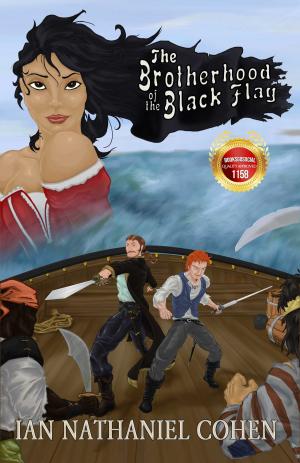 Cover of the book The Brotherhood of the Black Flag by Maggie Craig