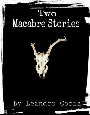 Cover of the book Two Macabre Stories by Douglas E Wright