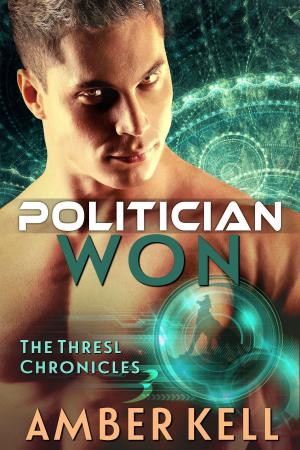 Cover of the book Politician Won by Linsey Lanier