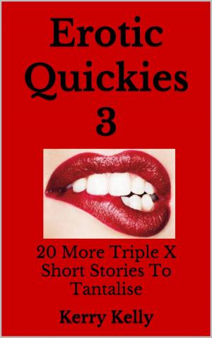 Cover of the book Erotic Quickies 3: 20 more XXX shorts by Mary Lyons