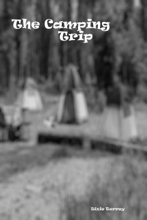 Book cover of The Camping Trip