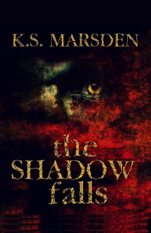 Cover of The Shadow Falls (Witch-Hunter #3)