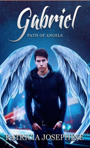 Cover of the book Gabriel Path of Angels Book 4 by Laura Jean Lysander