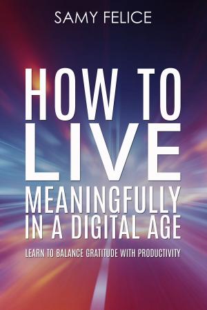 Cover of the book How to Live Meaningfully in a Digital Age by Kareen Walsh