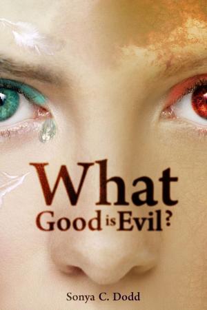 Cover of the book What Good is Evil? by Petra March