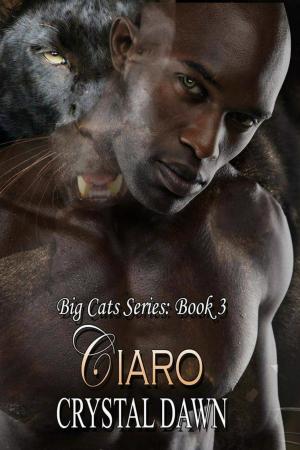 bigCover of the book Ciaro by 