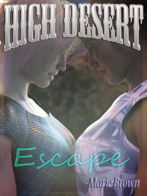Cover of the book High Desert Escape by Hanna Berghoff