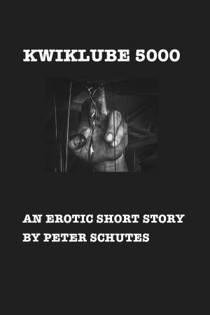 Cover of the book KwikLube 5000 by Taryn Brooks