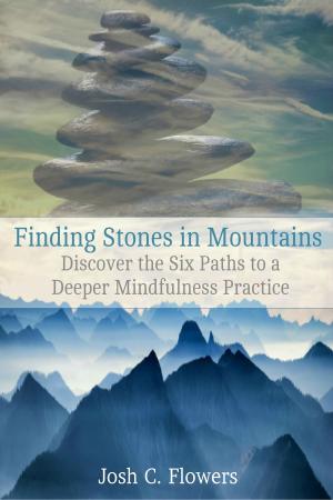 Cover of the book Finding Stones in Mountains: Discover the Six Paths to a Deeper Mindfulness Practice by James Wasserman