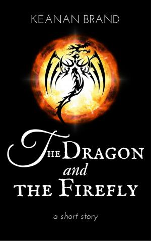 Cover of the book The Dragon and the Firefly by P Moss