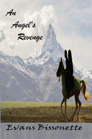 Book cover of An Angel's Revenge