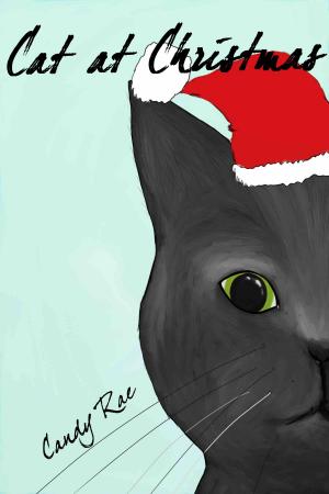 Book cover of Cat at Christmas
