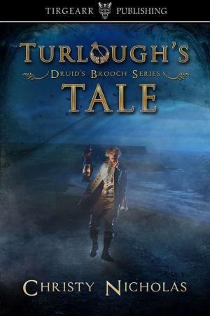 Cover of Turlough's Tale (Druid's Brooch short story extra)