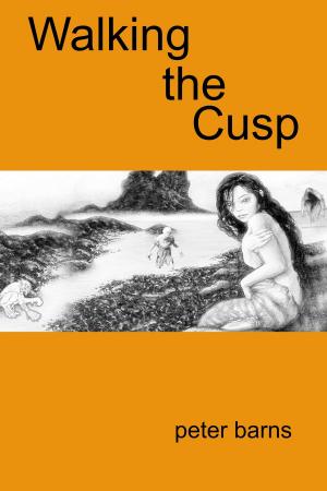 Cover of the book Walking the Cusp by G M Sherwin