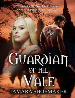 Cover of the book Guardian of the Vale by Miranda Mayer