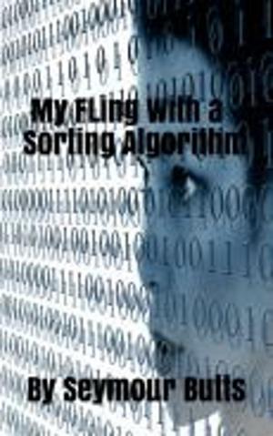 bigCover of the book My Fling With a Sorting Algorithm by 