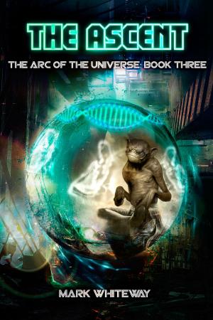 Cover of the book The Arc of the Universe: Book Three: The Ascent by Robert A Boyd