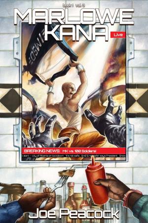 Cover of the book Marlowe Kana (Volume 3) by Russell Slater