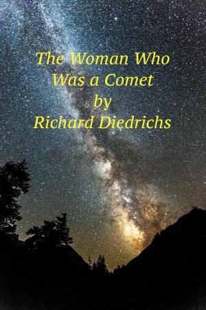 Cover of the book The Woman Who Was a Comet by Richard Diedrichs
