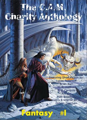 Book cover of The C.A.M. Charity Anthology: Fantasy 1
