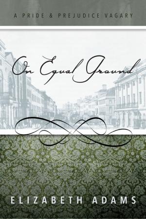 Book cover of On Equal Ground