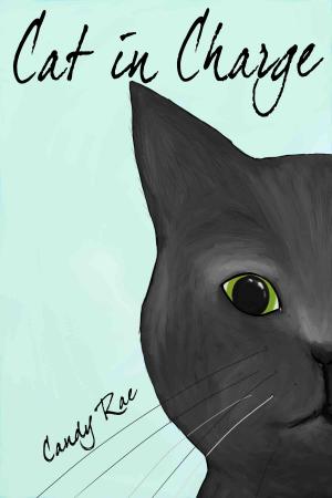 Cover of the book Cat in Charge by Candy Rae