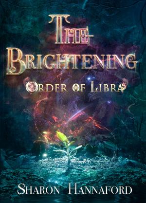 bigCover of the book The Brightening by 