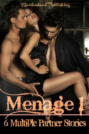 bigCover of the book Ménage 1 by 
