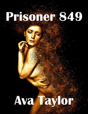 Cover of the book Prisoner 849 by George R. Reasoner VIII