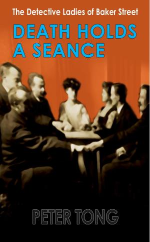 Cover of the book Death Holds a Seance by Ann S. Marie