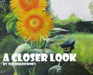 Book cover of A Closer Look