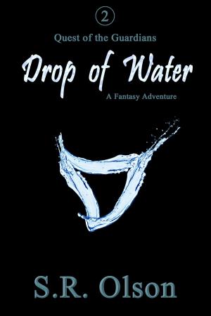 Book cover of Drop of Water: A Fantasy Adventure