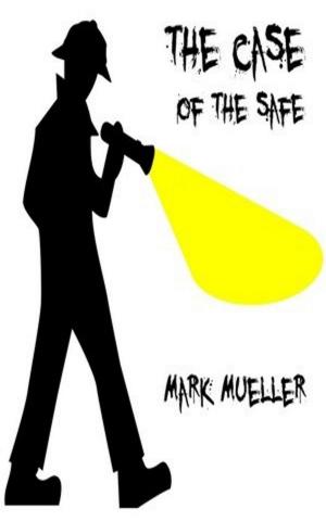 Cover of the book The Case Of The Safe by Raymund Hensley