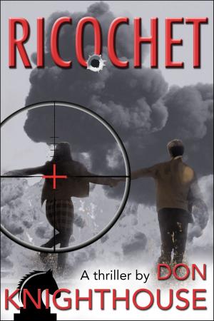 Cover of the book Ricochet by Arno Joubert