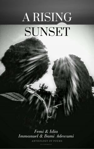 bigCover of the book A Rising Sunset by 