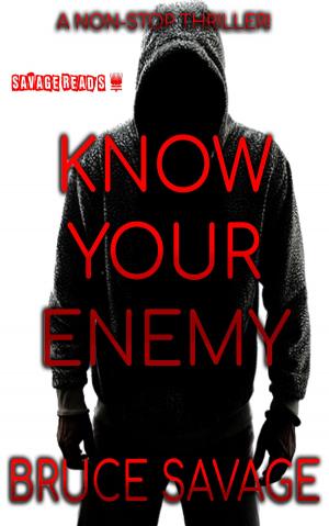 Cover of the book Know Your Enemy by Colm Gillis