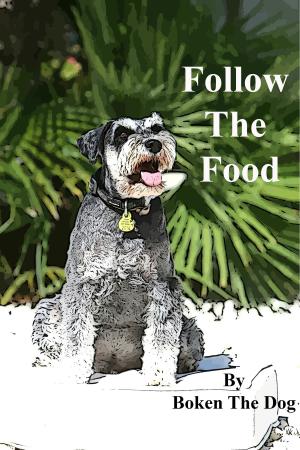 bigCover of the book Follow The Food by 