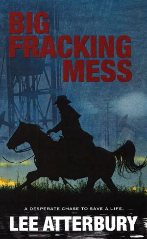 Cover of the book Big Fracking Mess by Collin Wilcox