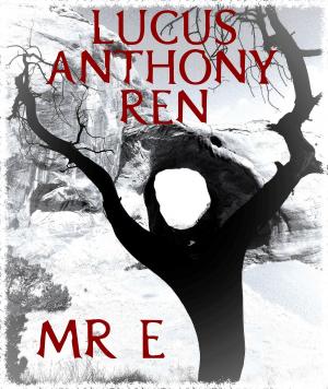 bigCover of the book Mr E by 
