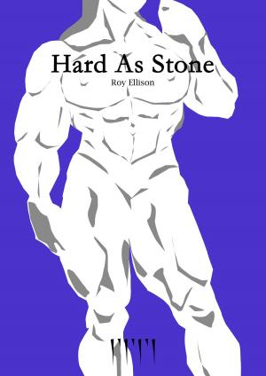 Cover of the book Hard As Stone by Roy Ellison