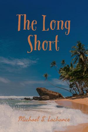 Cover of the book The Long Short by David Pardo