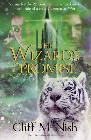 Book cover of The Wizard's Promise: The Doomspell Trilogy (Book 3)