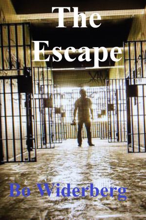 Book cover of The Escape