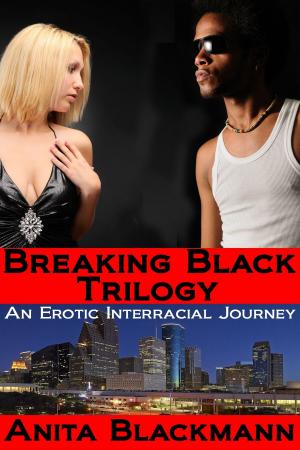 Book cover of Breaking Black Trilogy: An Erotic Interracial Journey