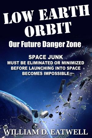 Cover of the book Low Earth Orbit, Our Future Danger Zone by Israel Rajan